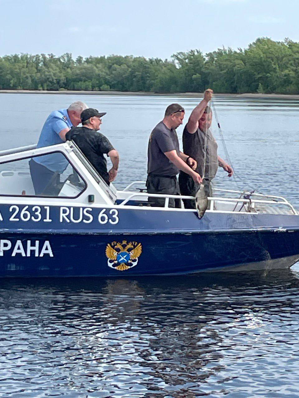 Прокурорский надзор в деле