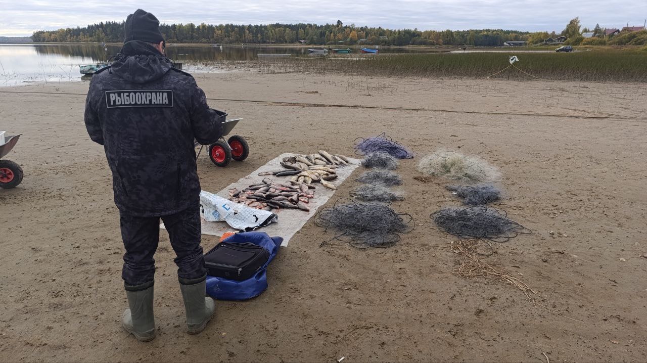 Результаты рейдового мероприятия в Республике Карелия на озере Вагатозеро