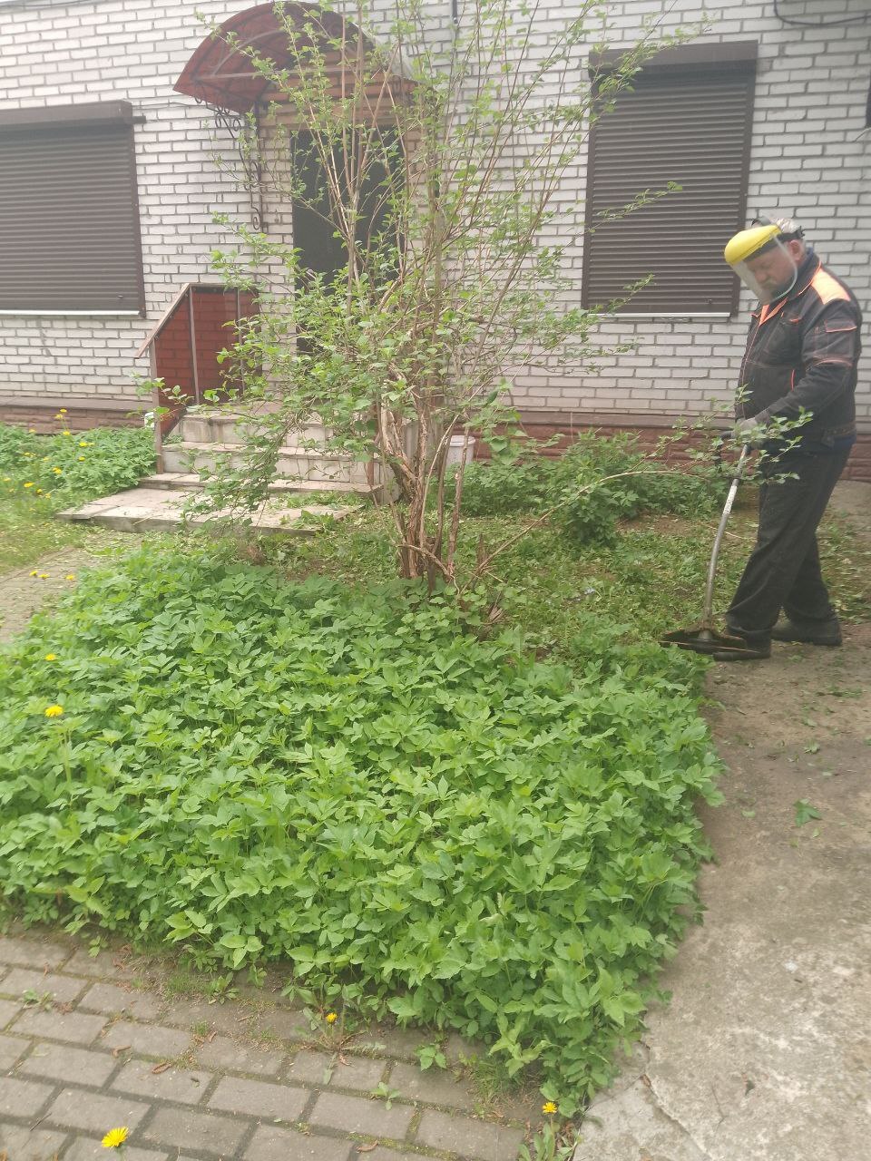 Праздник чистоты во Всеволожске