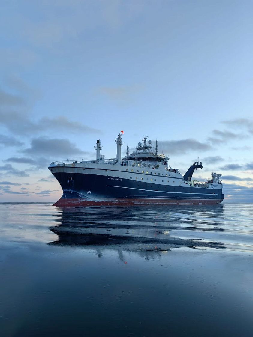 Охотоморская путина-2026: российские рыбаки наращивают вылов минтая и сельди