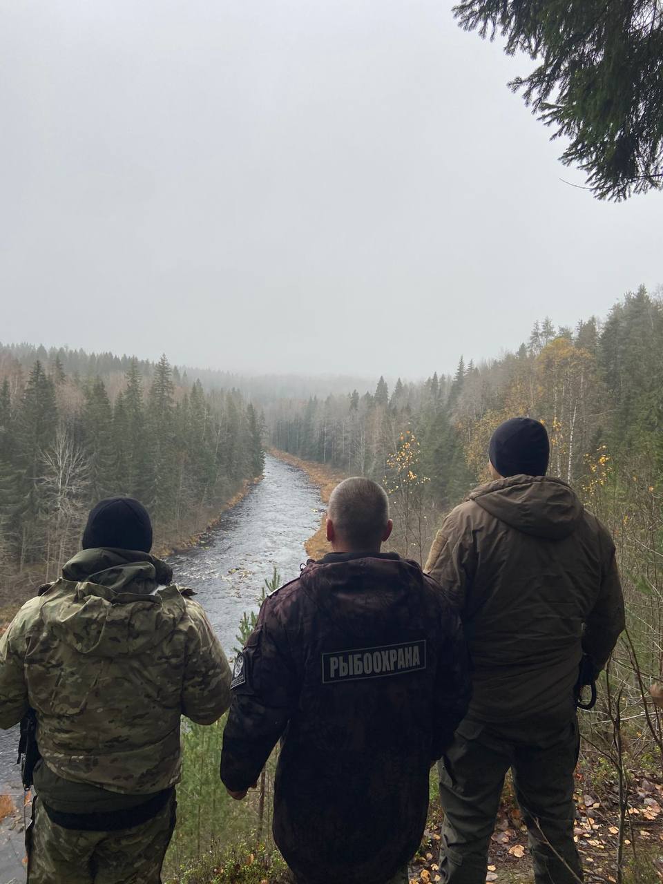 В Вологодской области выявлены нарушения законодательства в сфере сохранения водных биологических ресурсов и среды их обитания