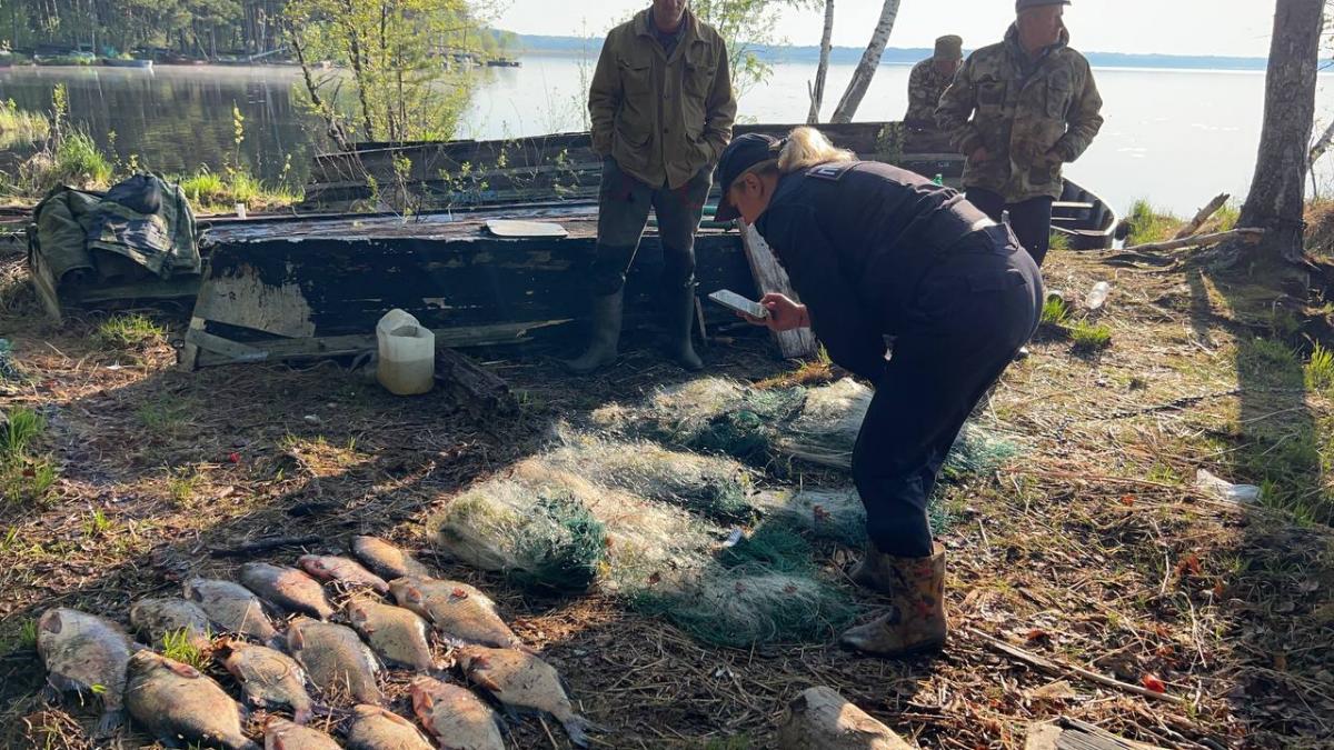  В Псковской области инспекторы рыбоохраны выявили нарушения правил рыболовства