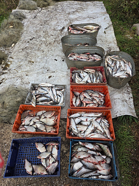 Прокуратура Вашкинского района утвердила обвинительное заключение по уголовному делу в отношении двух местных жителей 