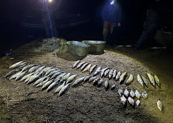 В Псковской области суд вынес нарушителям приговор