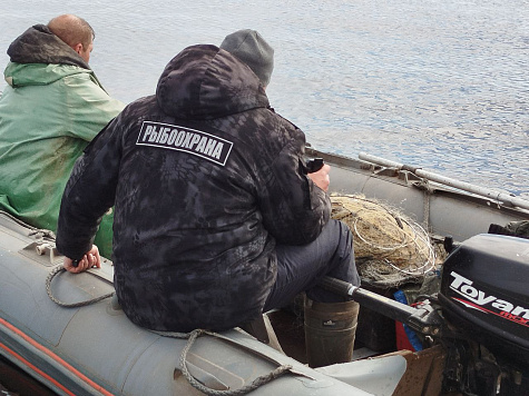 Итоги деятельности рыбоохраны Северо-Западного ТУ Росрыболовства  за октябрь 2025 года