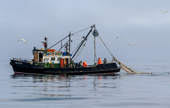 Михаил Мишустин дал поручения по итогам совещания Президента с членами Правительства о развитии рыбохозяйственного комплекса