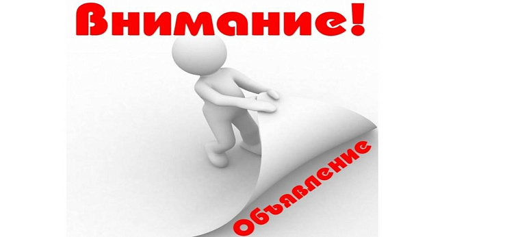 Объем добычи (вылова) чехони в реках Новгородской области
