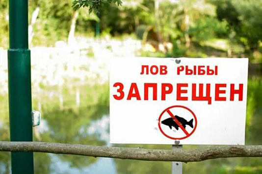 По состоянию на 15.08.2025 объем добычи (вылова) судака в прочих водохранилищах Республики Карелия по договорам пользования водными биологическими ресурсами, общий допустимый улов которых не устанавливается, составил: