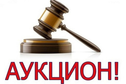 О проведении аукциона на право заключения договора пользования рыбоводным участком, расположенным в Вологодской области